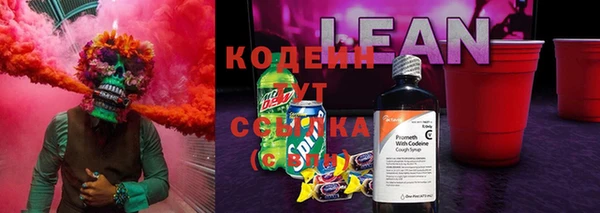 ГАЛЛЮЦИНОГЕННЫЕ ГРИБЫ Лихославль