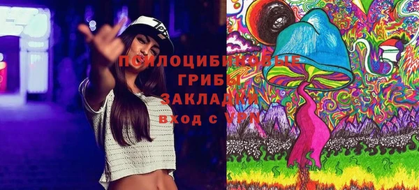 ГАЛЛЮЦИНОГЕННЫЕ ГРИБЫ Лихославль