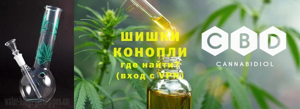 ГАЛЛЮЦИНОГЕННЫЕ ГРИБЫ Лихославль