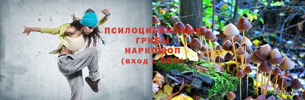 ГАЛЛЮЦИНОГЕННЫЕ ГРИБЫ Лихославль